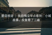 蘑菇频道 ｜ 我后悔没早点看到：小城故事，反复看了三遍