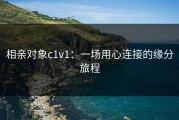 相亲对象c1v1：一场用心连接的缘分旅程