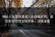 神秘人在深夜遭遇八卦炸裂全网，番茄影视官网全网炸锅，详情速看