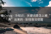 糖心vlog - 冷知识：关键词是怎么被“养”出来的 - 别怪我没提醒
