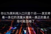 你以为黑料网入口只是个词——其实牵着一条它的流量从哪来…真正的重点你可能忽略了