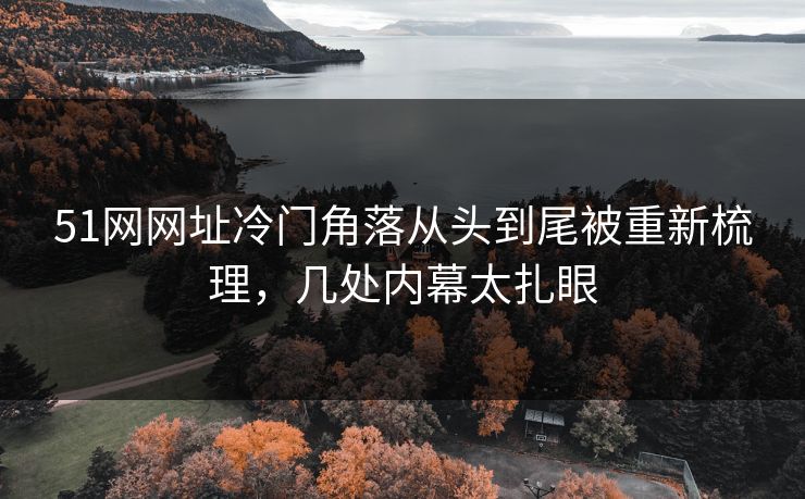 51网网址冷门角落从头到尾被重新梳理,几处内幕太扎眼 51网网址冷门角落从头到尾被重新梳理,几处内幕太扎眼